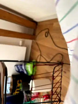 Snapshot of la_chiennete chatting on 09/27/25, 01:05 la chiennete online show from 09/27/25, 01:05