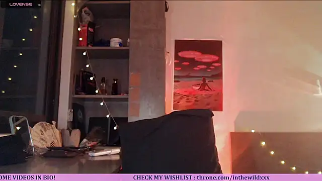 Snapshot of Cassie_Wild chatting on 07/02/26, 01:06 Cassie Wild online show from 07/02/26, 01:06