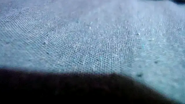 Lelety79 online show from 04/11/26, 08:57