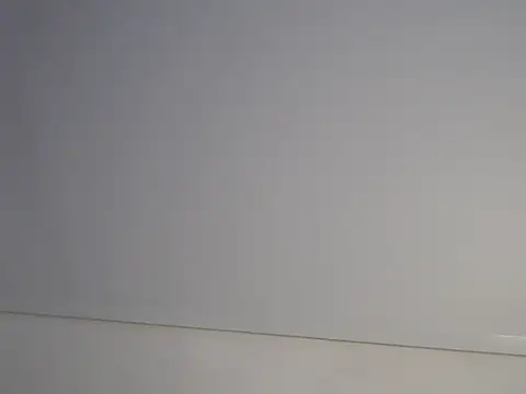 transgenderboy online show from 05/25/26, 11:44