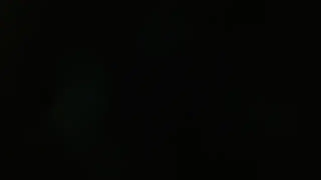 sofia perez    online show from 02/04/25, 08:17