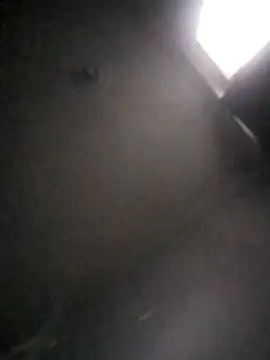 kevin613603 online show from 02/01/26, 10:47