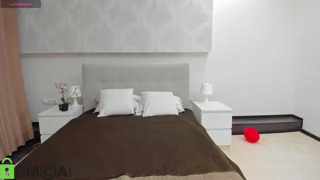 Donna Evans online show from 02/17/26, 11:55