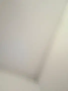 CelesteBailey online show from 09/26/25, 08:29