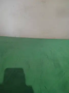  Scorpion  online show from 02/11/25, 07:38