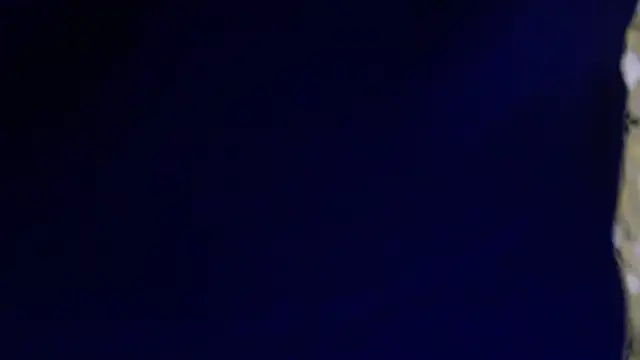 -AyeshaSinghania- online show from 02/13/26, 01:45