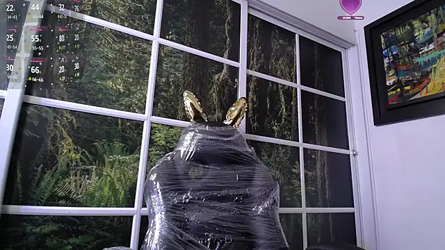 darshajaya online show from 01/16/25, 10:32