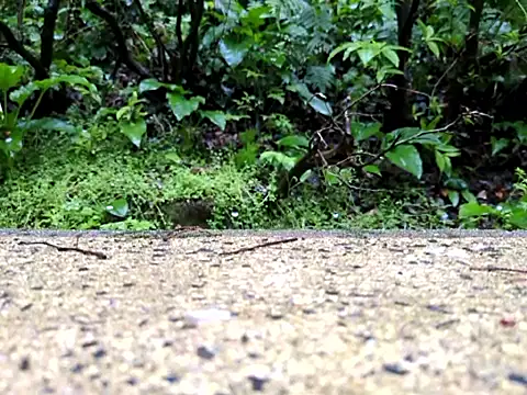 Snapshot of dk5888 chatting on 04/09/26, 09:53 dk5888 online show from 04/09/26, 09:53