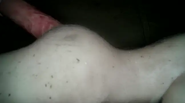 Snapshot of xxxlecram chatting on 03/14/25, 06:07 xxxlecram online show from 03/14/25, 06:07