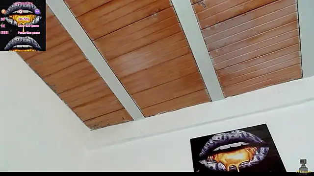 drake brwon 23 online show from 02/19/25, 12:00