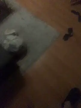 Snapshot of chrille82 chatting on 11/21/25, 06:06 chrille82 online show from 11/21/25, 06:06