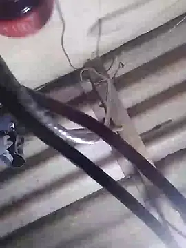 Snapshot of davidatration15 chatting on 03/05/25, 01:10 davidatration15 online show from 03/05/25, 01:10