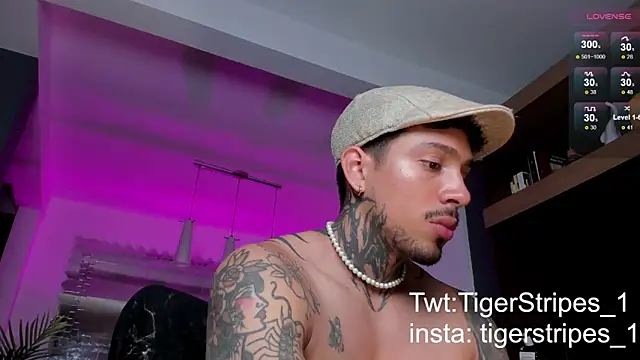 TigerStripes1  online show from 02/09/25, 10:32