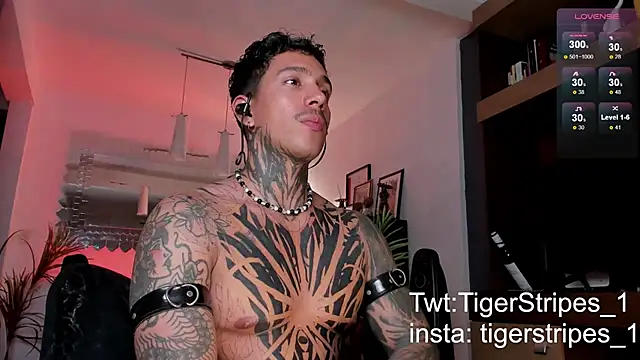 TigerStripes1  online show from 02/22/25, 04:18