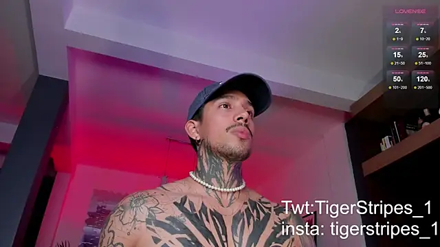 TigerStripes1  online show from 03/03/25, 11:46