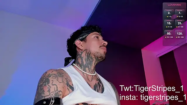 TigerStripes1  online show from 03/11/25, 10:42