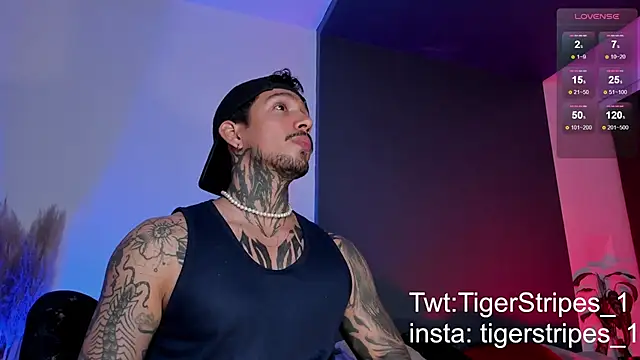 TigerStripes1  online show from 03/15/25, 12:25