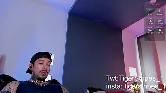 TigerStripes1  online show from 03/15/25, 09:49