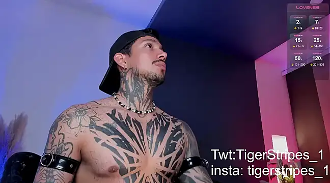 TigerStripes1  online show from 03/16/25, 12:56