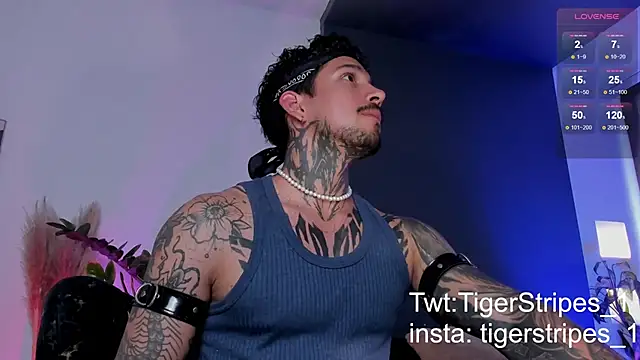 TigerStripes1  online show from 03/19/25, 08:54