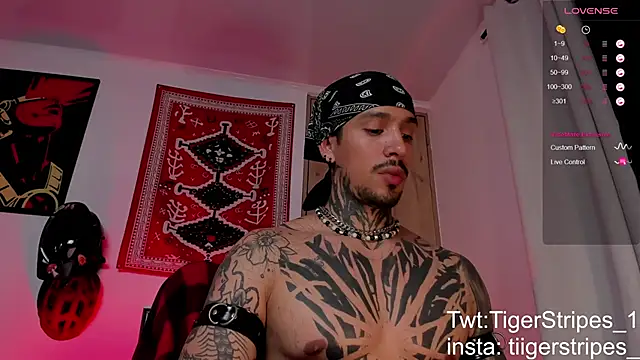 TigerStripes1  online show from 03/19/26, 06:28