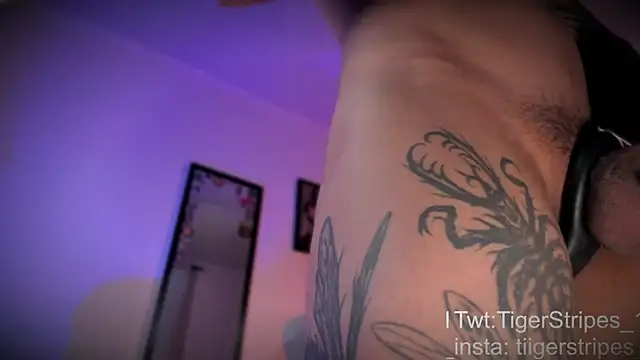 TigerStripes1  online show from 04/10/26, 12:32