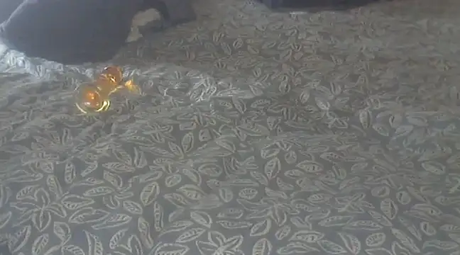 michaelknight101 online show from 12/15/24, 01:22