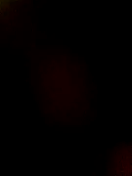 htopatudo online show from 03/28/26, 12:21