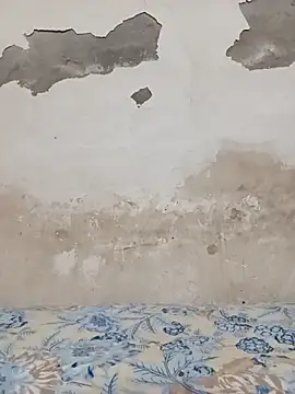 09punjabi online show from 10/27/25, 11:03